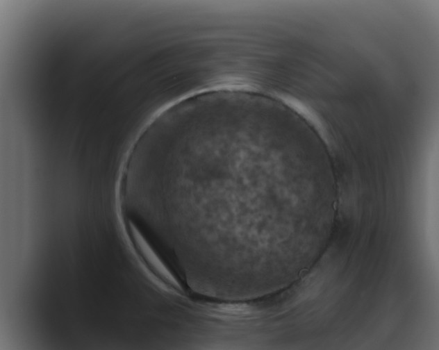 X0000089681383200706281350