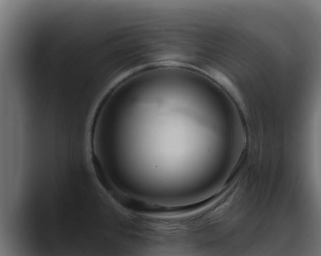 X0000089681384200706281350
