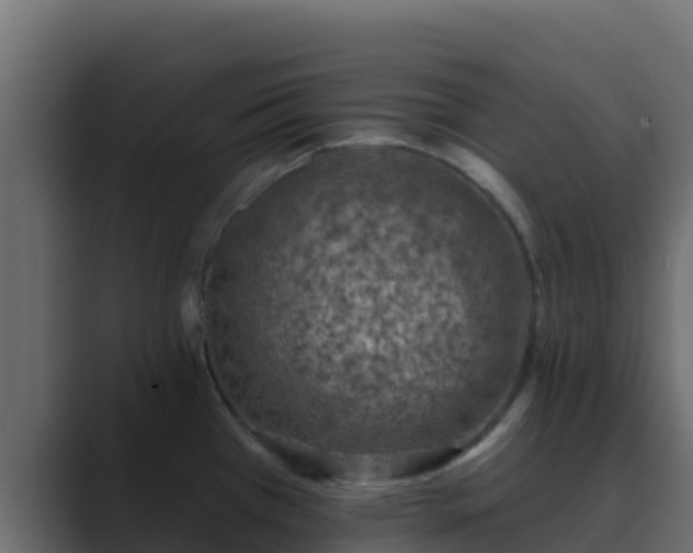 X0000089681385200706281350