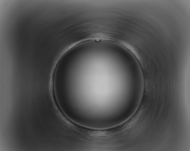 X0000089681387200706281350