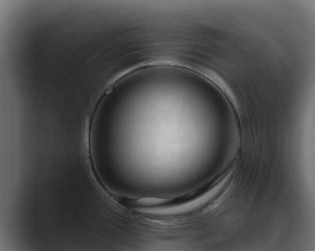 X0000089681388200706281350