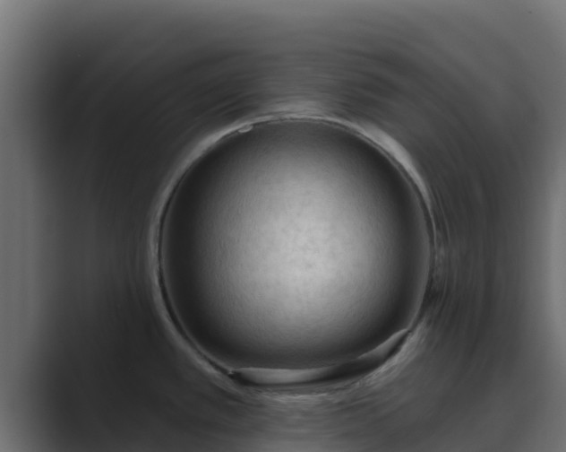 X0000089681389200706281350