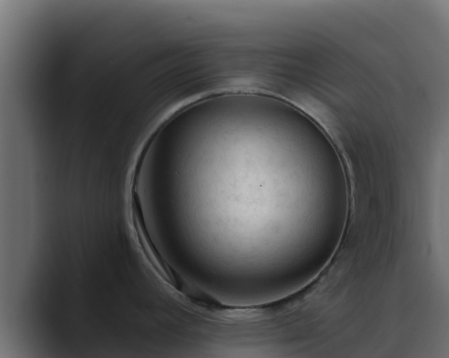 X0000089681392200706281350
