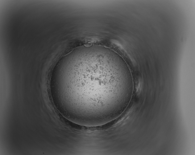 X0000089681393200706281349