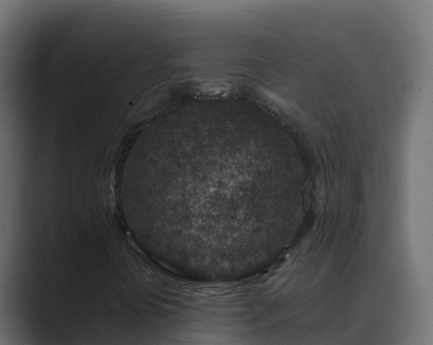 X0000089681394200706281349