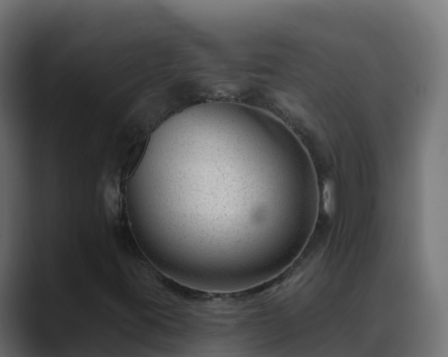 X0000089681395200706281349