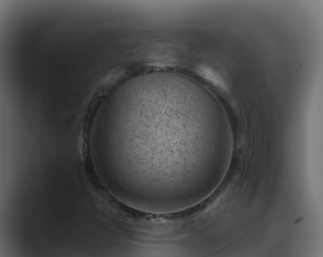 X0000089681398200706281349