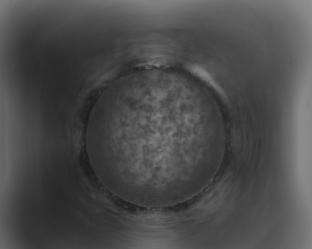 X0000089681399200706281349