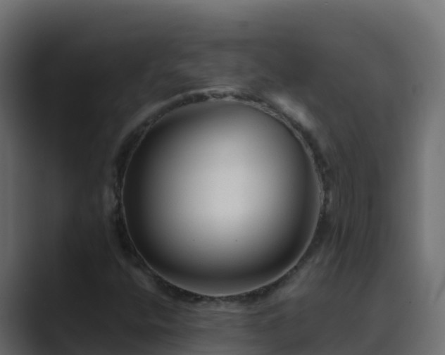 X0000089681400200706281349