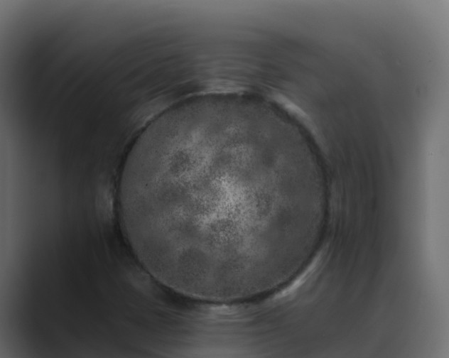 X0000089681401200706281349