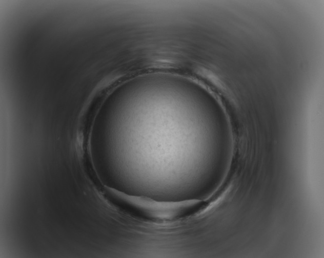 X0000089681402200706281349