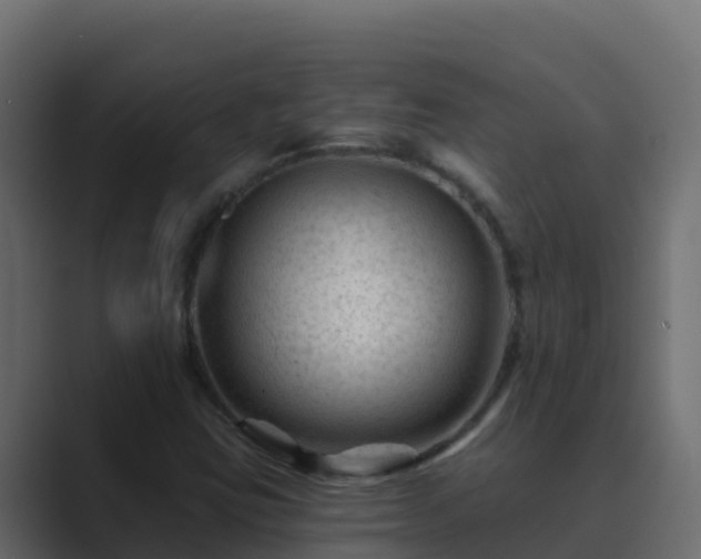 X0000089681403200706281349