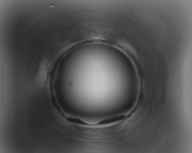 X0000089681404200706281349