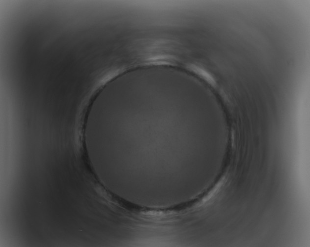 X0000089681405200706281349