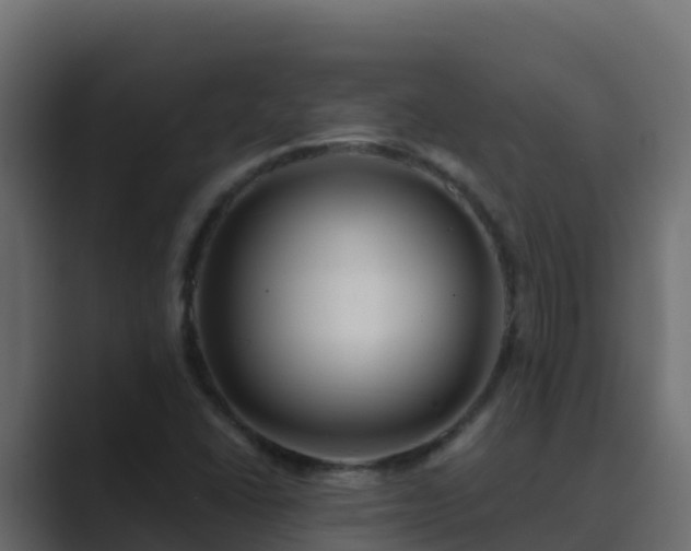 X0000089681406200706281349