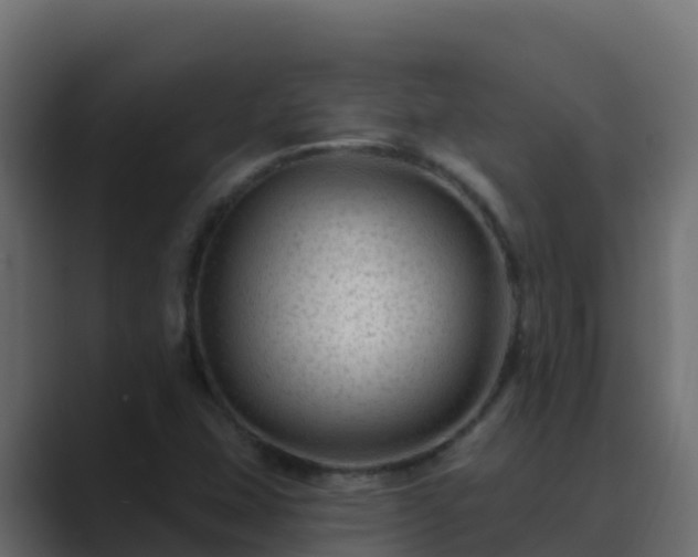 X0000089681407200706281349