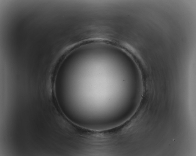 X0000089681408200706281349