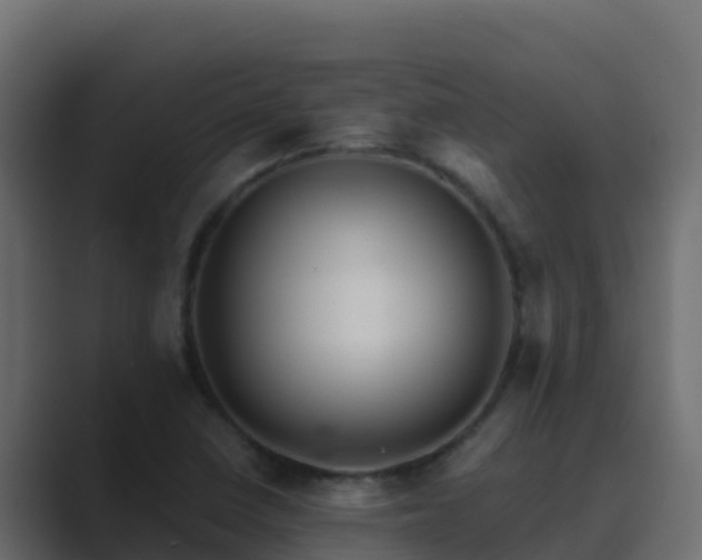 X0000089681410200706281349