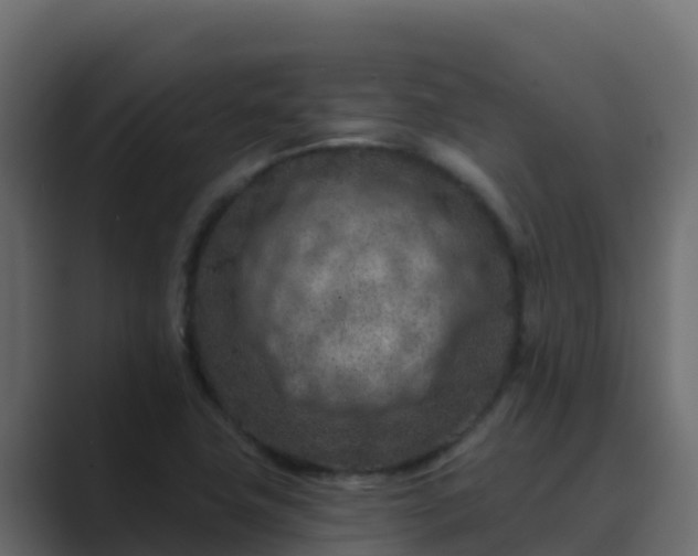 X0000089681411200706281349
