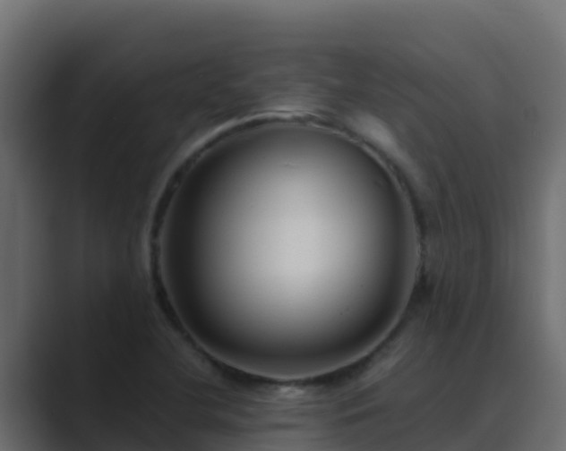 X0000089681412200706281349