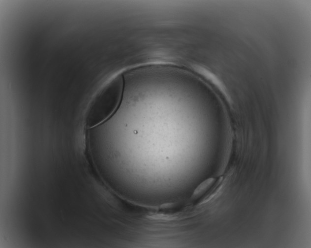 X0000089681415200706281349