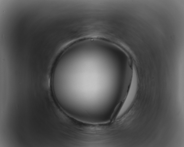 X0000089681416200706281349