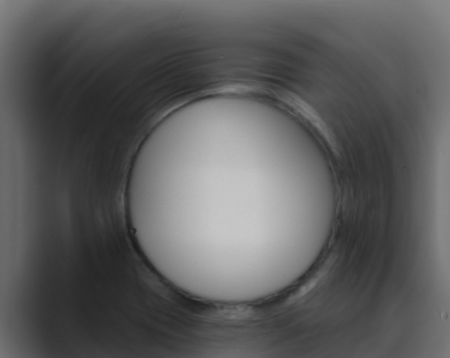 X0000089681417200706281349