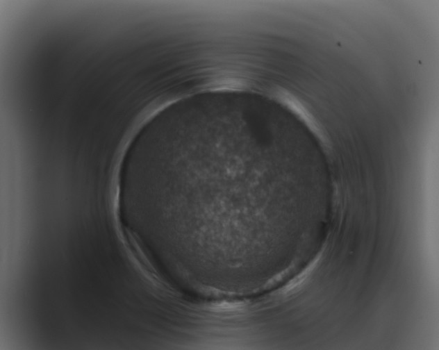 X0000089681418200706281349