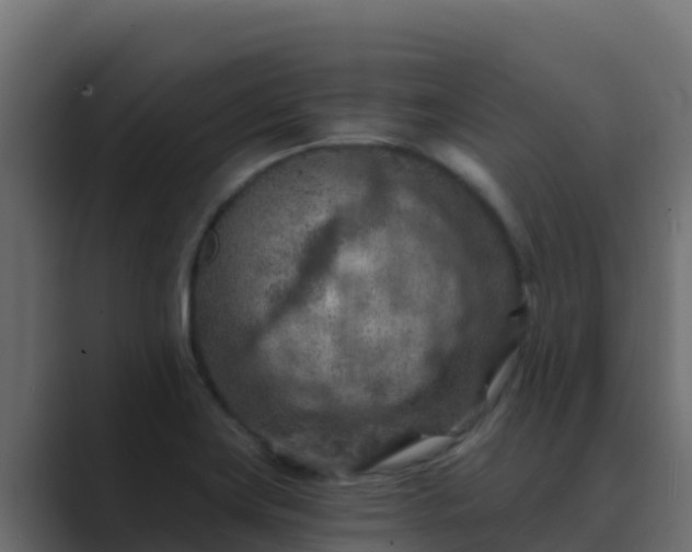 X0000089681419200706281349