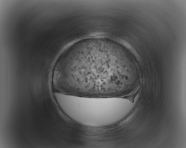 X0000089681421200706281349