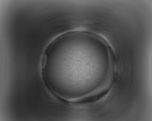 X0000089681422200706281349