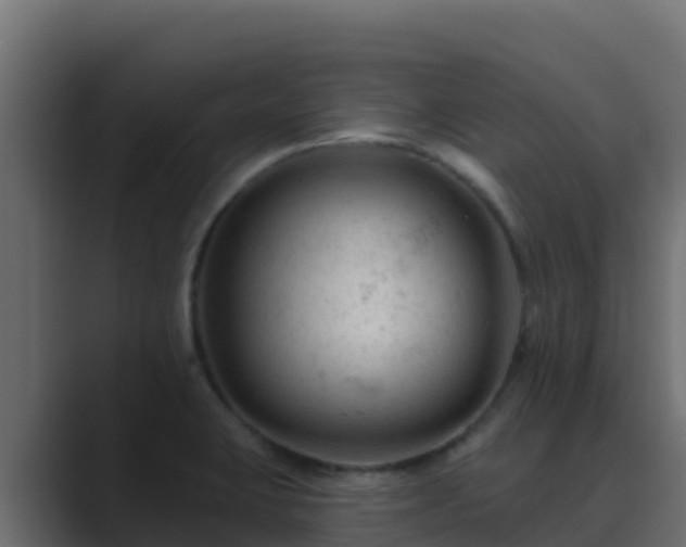 X0000089681423200706281349