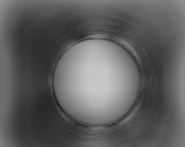 X0000089681425200706281349