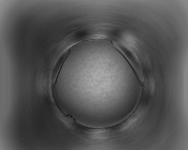 X0000089681426200706281349