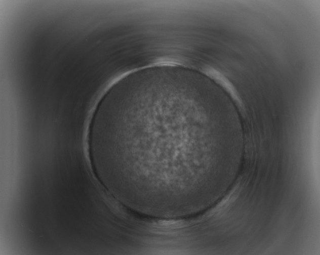 X0000089681427200706281349