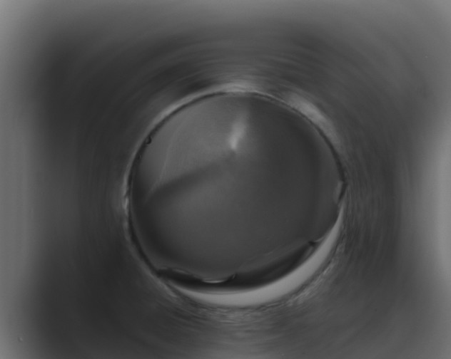 X0000089681428200706281349