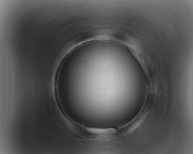 X0000089681430200706281349