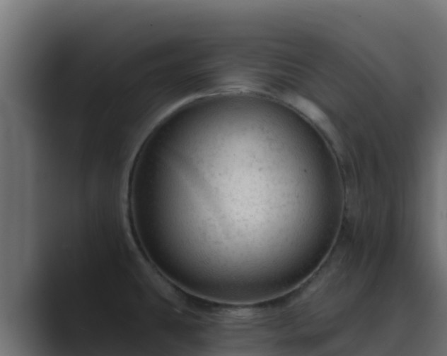 X0000089681431200706281349