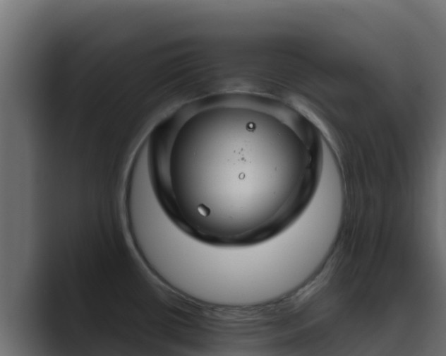 X0000089681434200706281349