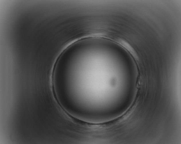 X0000089681436200706281350