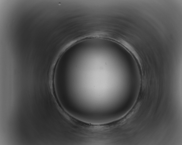 X0000089681437200706281350
