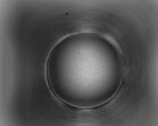 X0000089681439200706281350