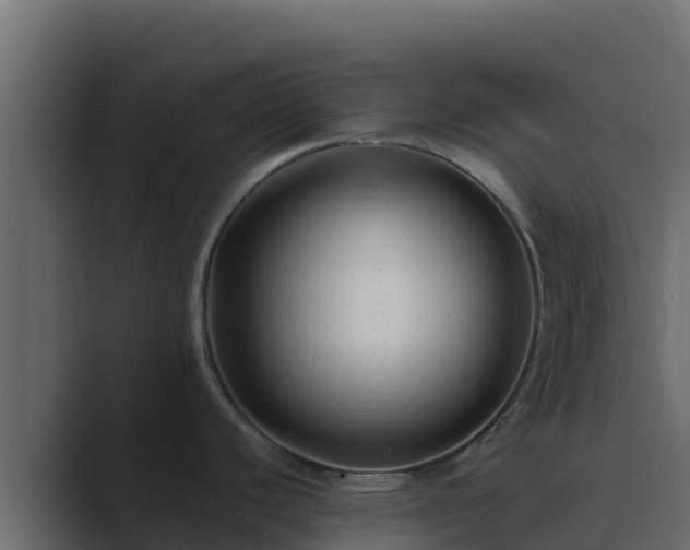 X0000089681440200706281350