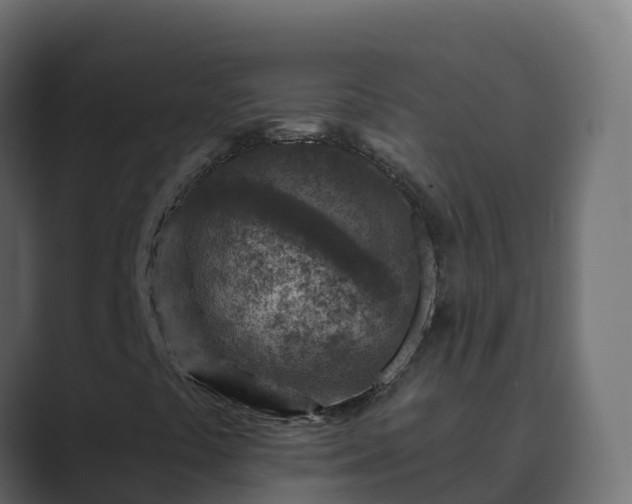X0000089681441200706281349