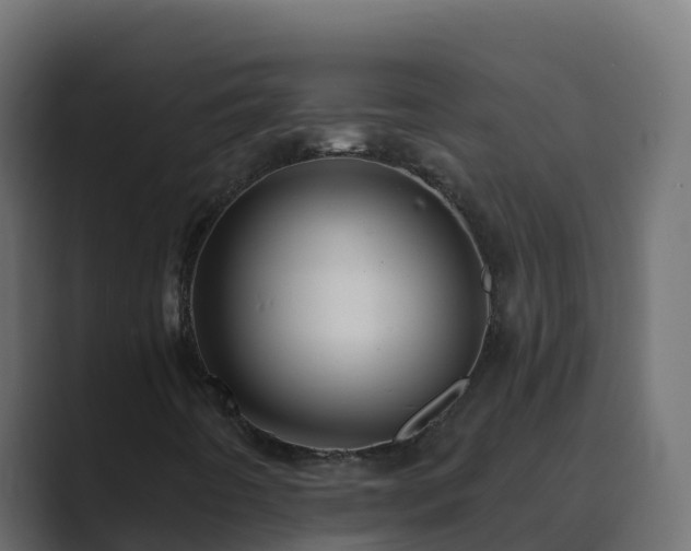 X0000089681442200706281349