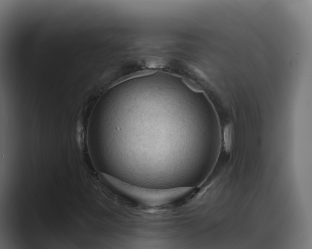 X0000089681443200706281349