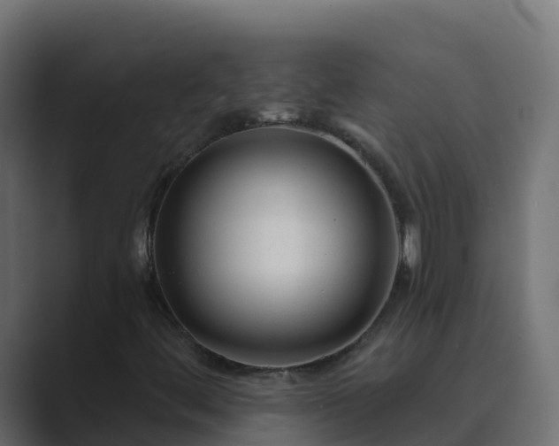 X0000089681444200706281349