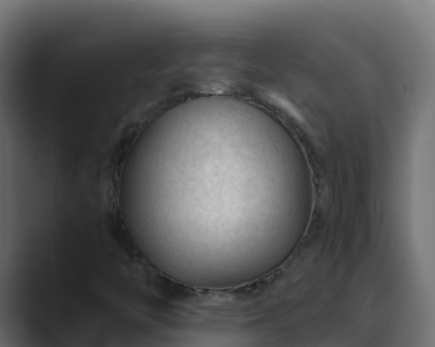 X0000089681446200706281349