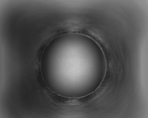 X0000089681447200706281349