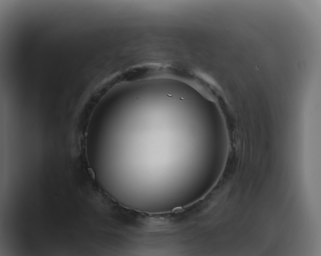 X0000089681448200706281349
